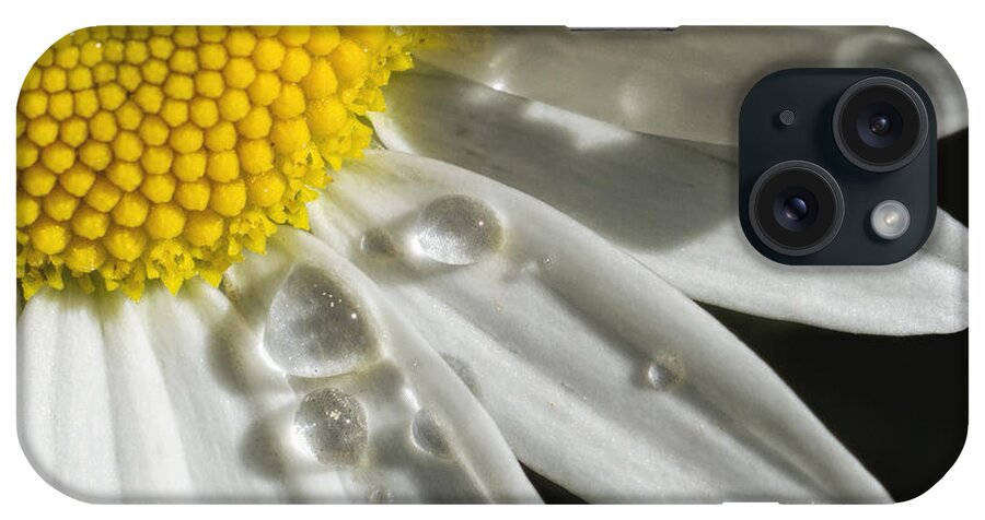 Kansas iPhone Case featuring the photograph Daisy with raindrops by Rob Graham
