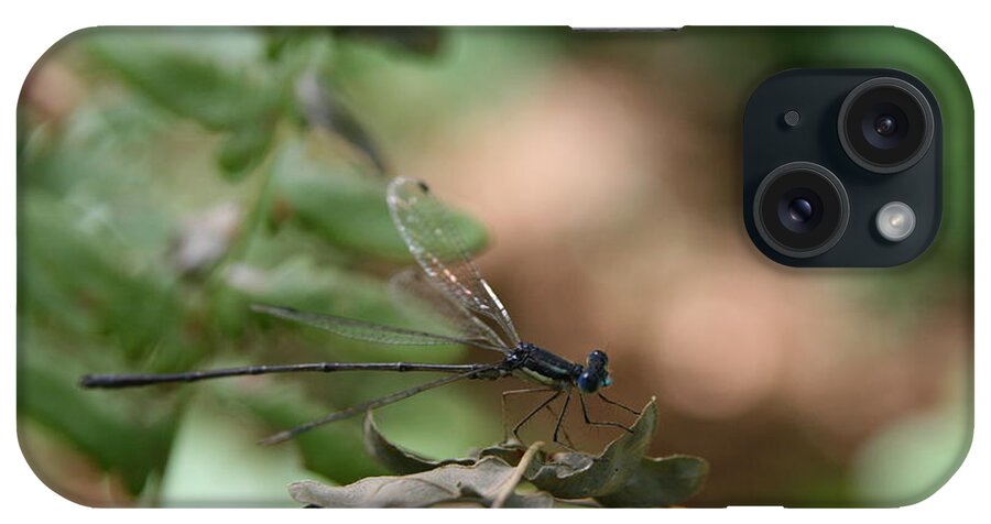 Damselfly iPhone Case featuring the photograph Damselfly by Neal Eslinger