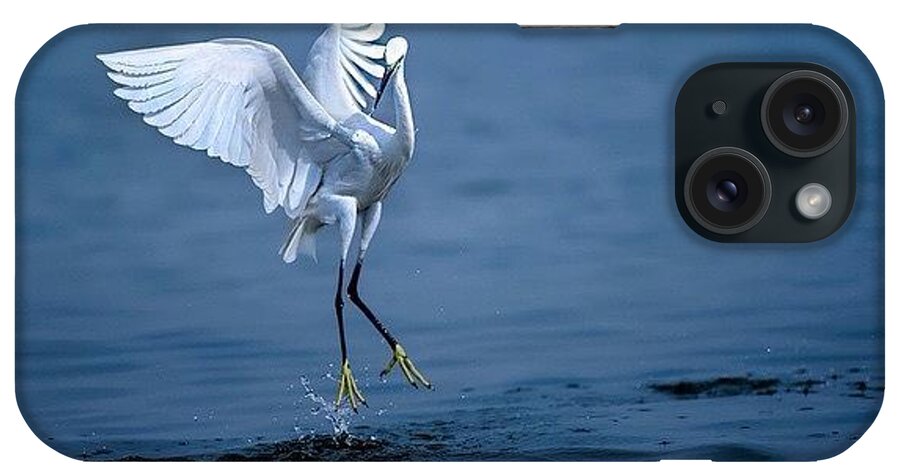 Egret iPhone Case featuring the photograph Dance, Dance, Let Me Fly
dance, Dance by Nayan Hazra