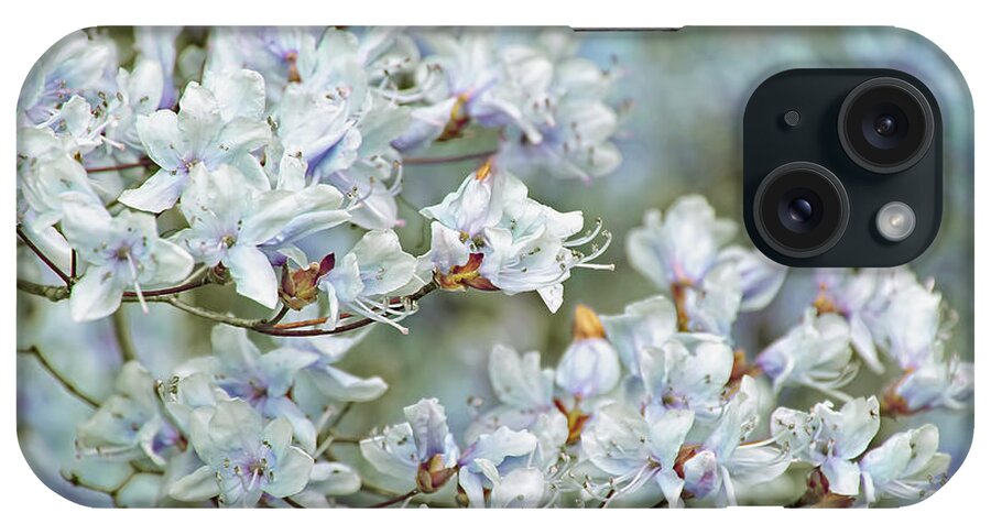 Azalea iPhone Case featuring the photograph Dancing Blue Azalea Flowers by Jennie Marie Schell