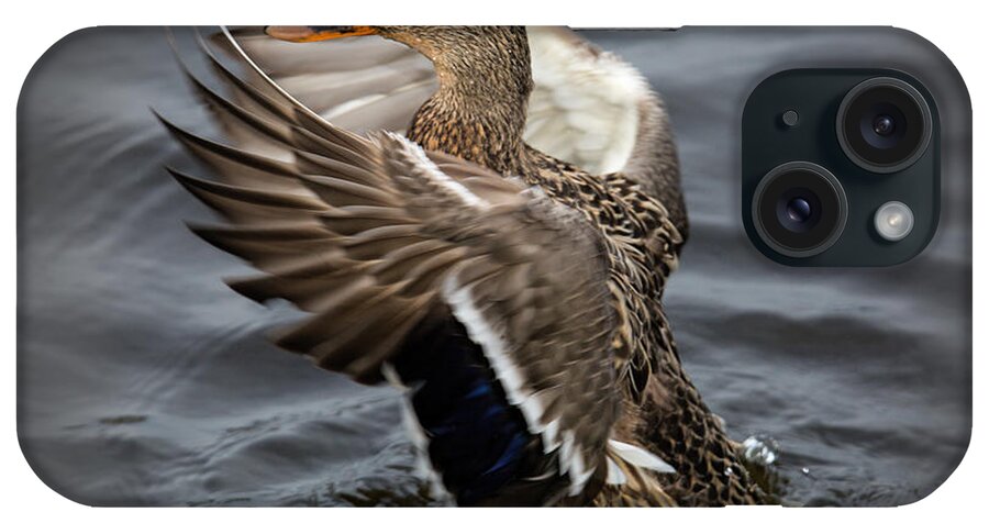 Mallard iPhone Case featuring the photograph Dancing Queen by Randy Hall