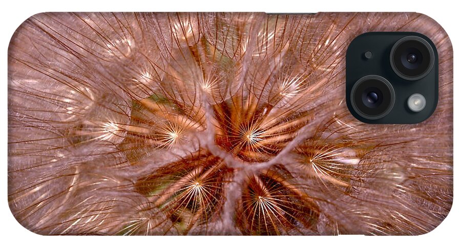 Dandelion iPhone Case featuring the photograph Dandelion Fireworks by Rona Black