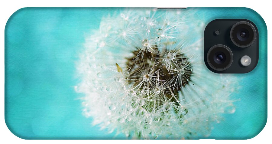 Dandelion iPhone Case featuring the photograph Dandelion one by Sylvia Cook