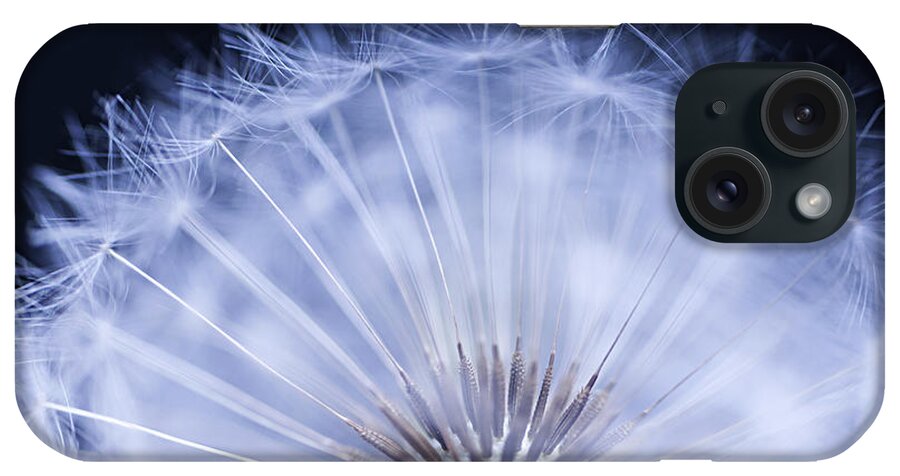 Dandelion iPhone Case featuring the photograph Dandelion rising by Elena Elisseeva