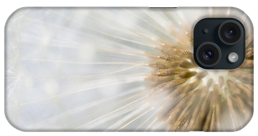 Nis iPhone Case featuring the photograph Dandelion Seedhead Noord-holland by Mart Smit