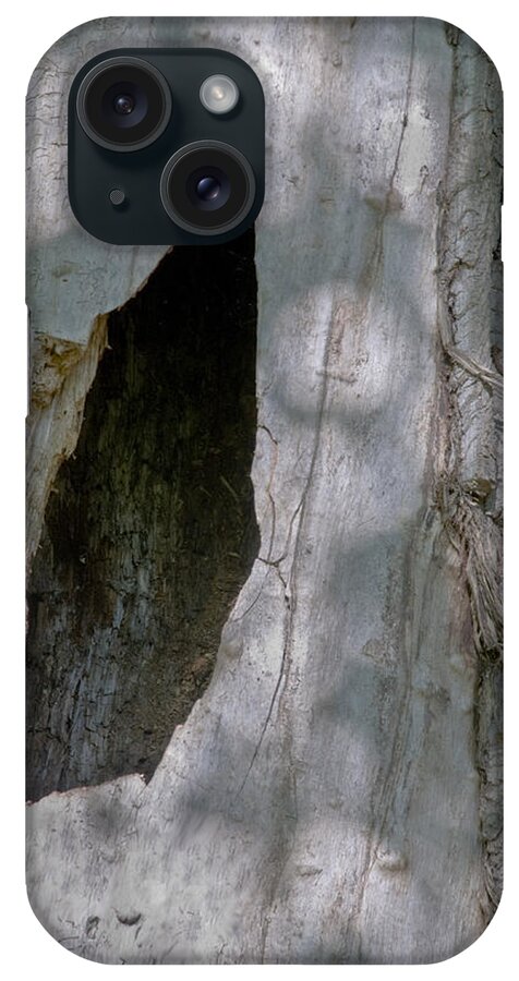 Log iPhone Case featuring the photograph Dappled light on a hollow log by Christopher Byrd