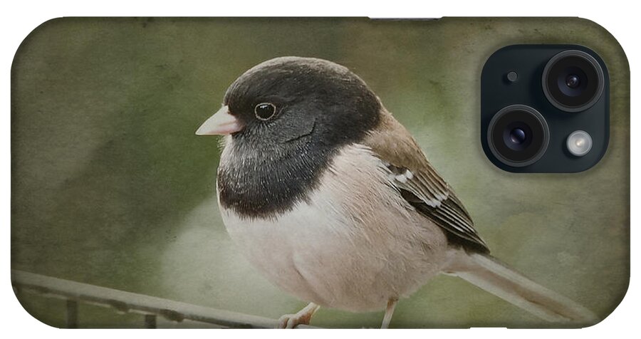Birds iPhone Case featuring the photograph Dark-Eyed Junco by Parrish Todd
