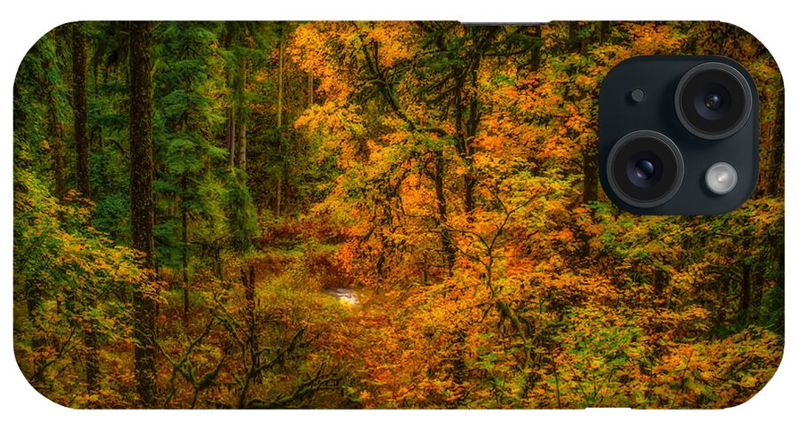 Silver Falls iPhone Case featuring the photograph Dark Forest by Dennis Bucklin