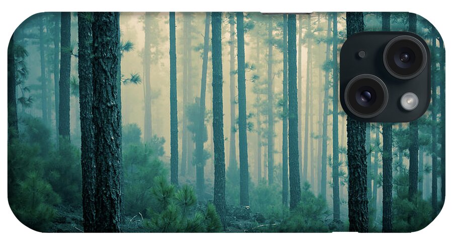 Dawn iPhone Case featuring the photograph Dark Mystery Forest In The Fog by Zodebala