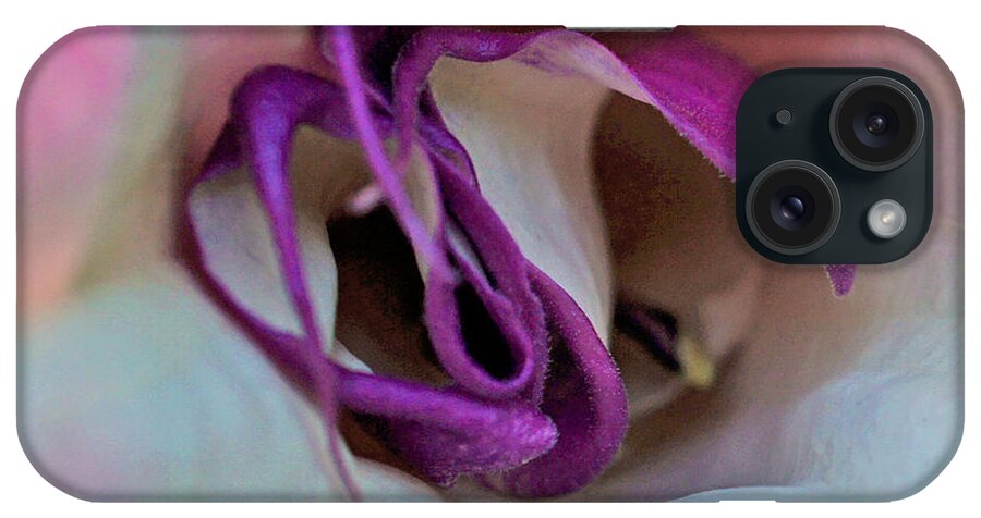 Datura iPhone Case featuring the photograph Datura Squared by TK Goforth