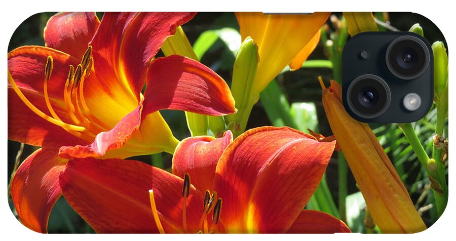 Day Lily iPhone Case featuring the photograph Day Lily 2 by Linda L Martin