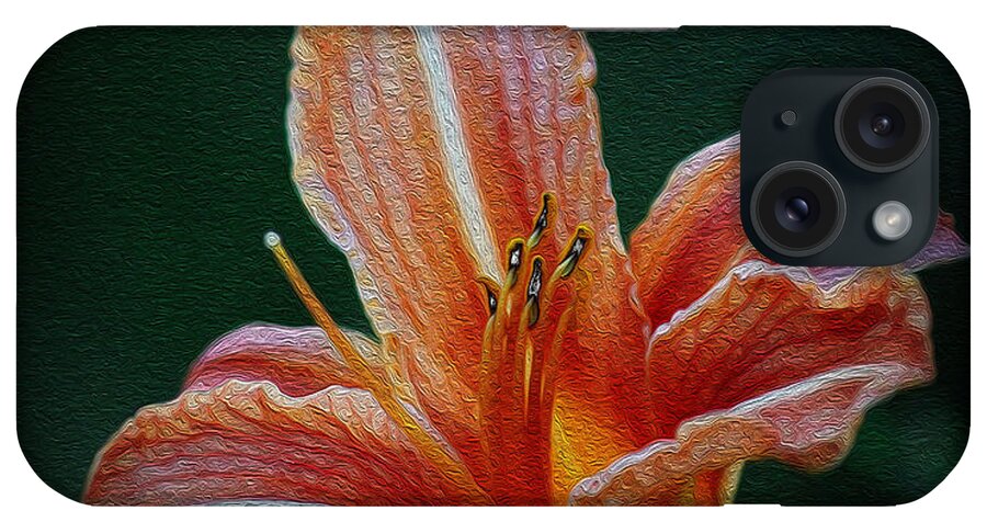 Lily iPhone Case featuring the photograph Day Lily Rapture by Jeanette C Landstrom