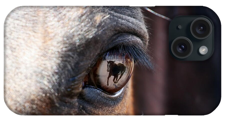 Horse iPhone Case featuring the photograph Daydream of a Horse by Lincoln Rogers