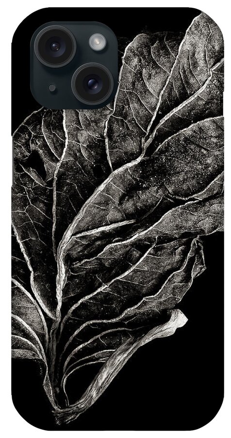 Leaf iPhone Case featuring the photograph Dead Leaf 12 by Robert Woodward