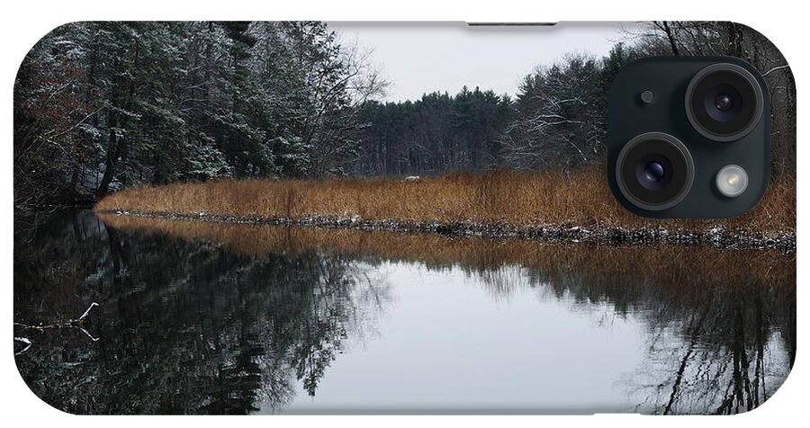 Trees iPhone Case featuring the photograph December Landscape by Luke Moore