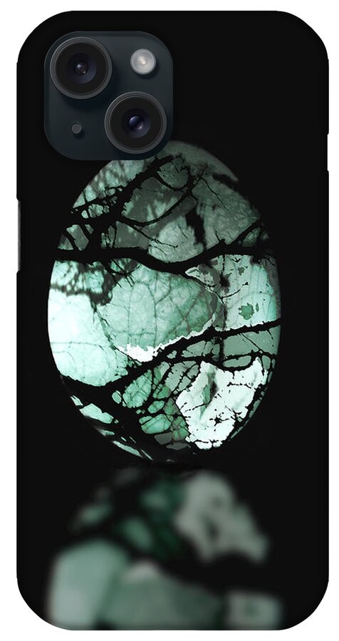 Egg iPhone Case featuring the photograph Decorated Egg by Ann Powell