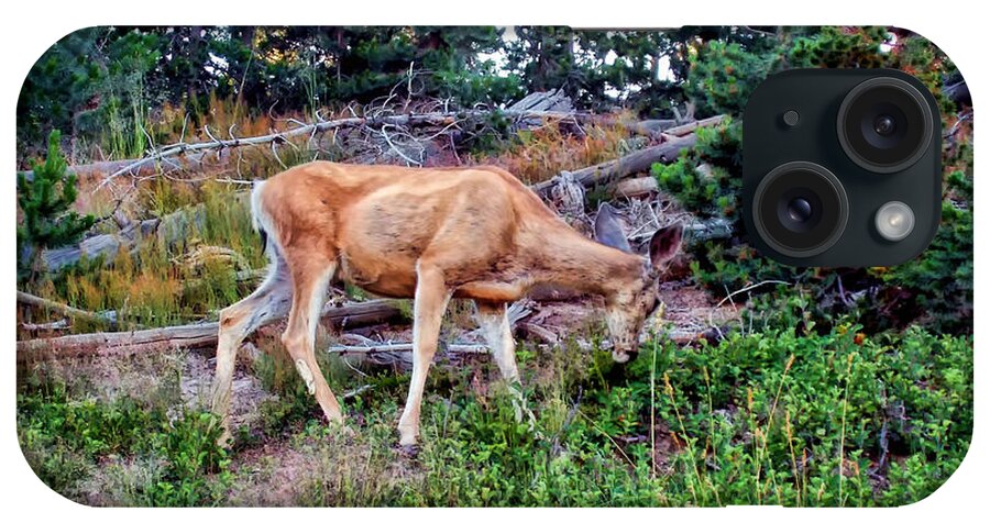 Deer iPhone Case featuring the photograph Deer 1 by Dawn Eshelman
