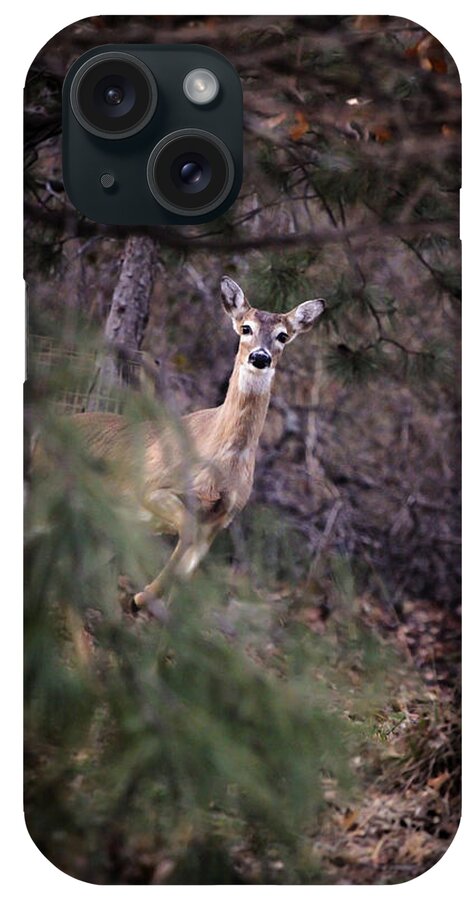 Deer iPhone Case featuring the photograph Deer's Stomping Grounds. by Joshua Martin