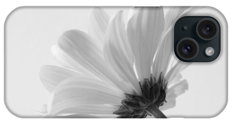 Daisy iPhone Case featuring the photograph Delicate Daisy by Anita Oakley