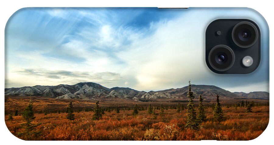 Denali iPhone Case featuring the photograph Denali National Park by Lauri Novak