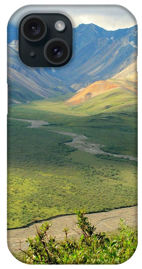 Denali National Park iPhone Case featuring the photograph Denali National Park by Lisa Dunn