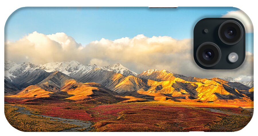 Denali iPhone Case featuring the photograph Denali Prairie 4 - Denali National Park - Alaska by Bruce Friedman