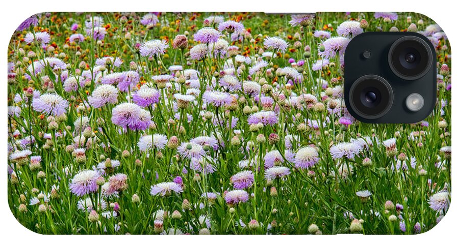 Basket-flower iPhone Case featuring the photograph Dense Basket-Flowers and Firewheels by Steven Schwartzman