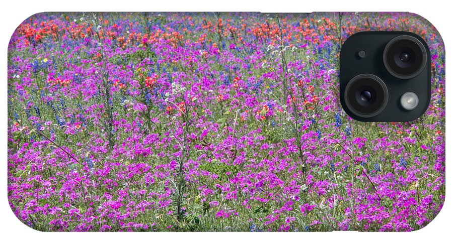 Phlox iPhone Case featuring the photograph Dense Phlox and Other Wildflowers by Steven Schwartzman