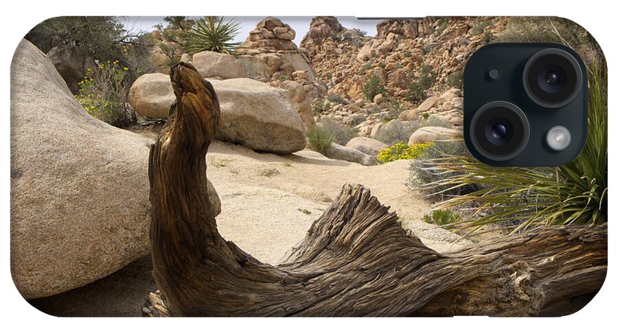 Ca iPhone Case featuring the photograph Desert Art by Lucinda Walter