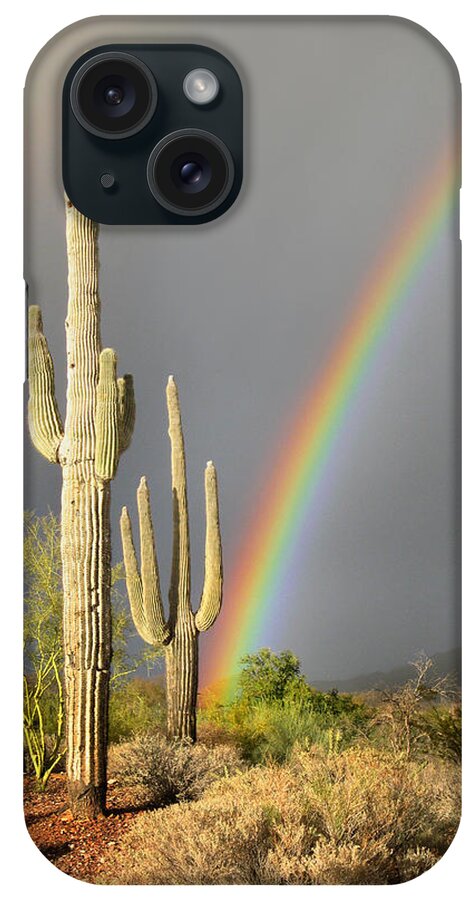 Desert iPhone Case featuring the photograph Desert Rainbow by Gordon Beck