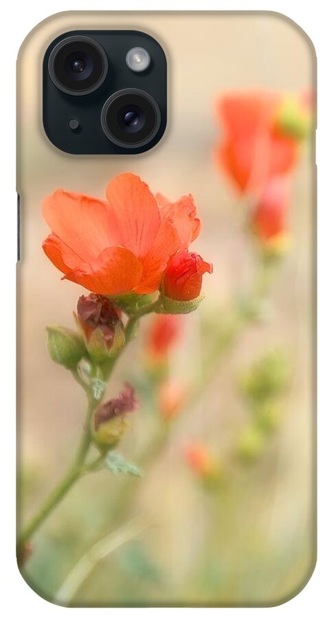 Floral iPhone Case featuring the photograph Desert Wildflowers by Jade Moon 