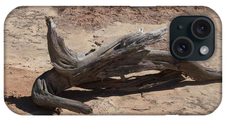 Landscape iPhone Case featuring the photograph Desert Wildwood by Fortunate Findings Shirley Dickerson