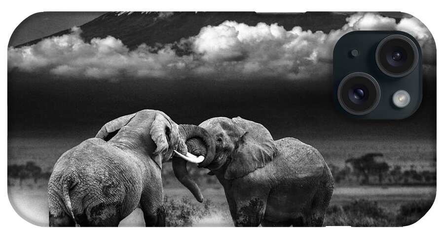 Africa iPhone Case featuring the photograph Determined To Dominate by Mike Gaudaur