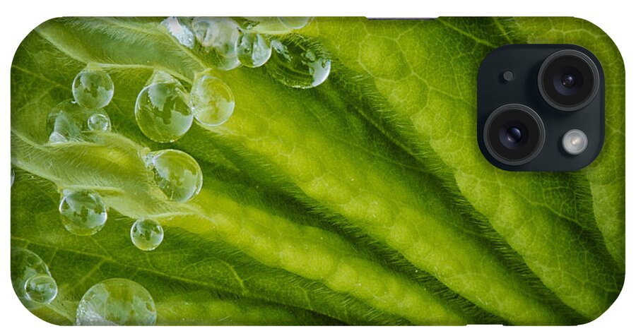 Water Drops iPhone Case featuring the photograph Dew Drops by Carrie Cranwill