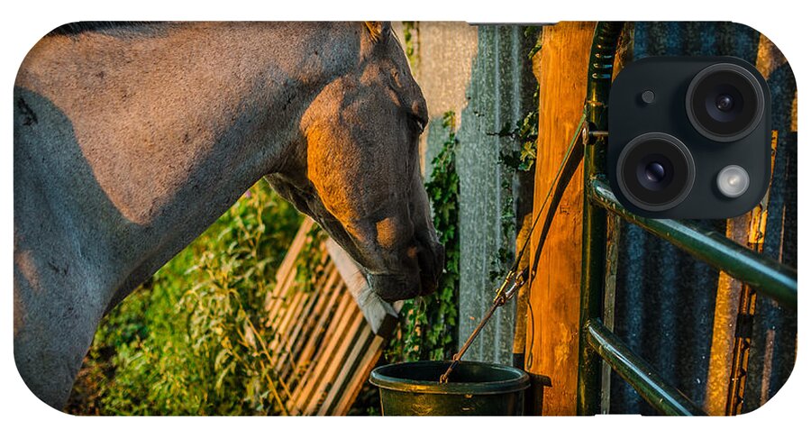 Horse iPhone Case featuring the photograph Dinnertime Abendessen by David Morefield
