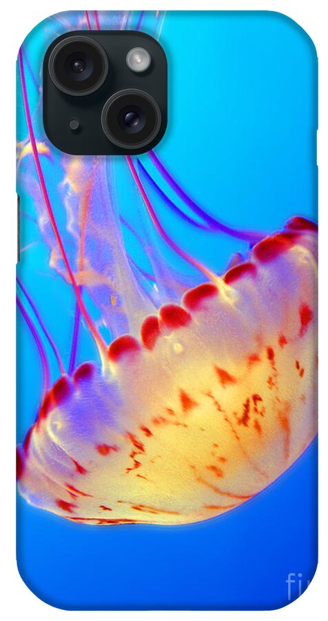 Jellyfish iPhone Case featuring the photograph Divine Dancer by Elizabeth Hoskinson