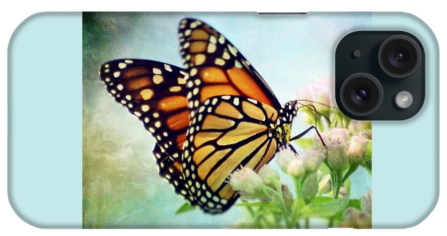 Monarch iPhone Case featuring the photograph Divine Things by Kerri Farley