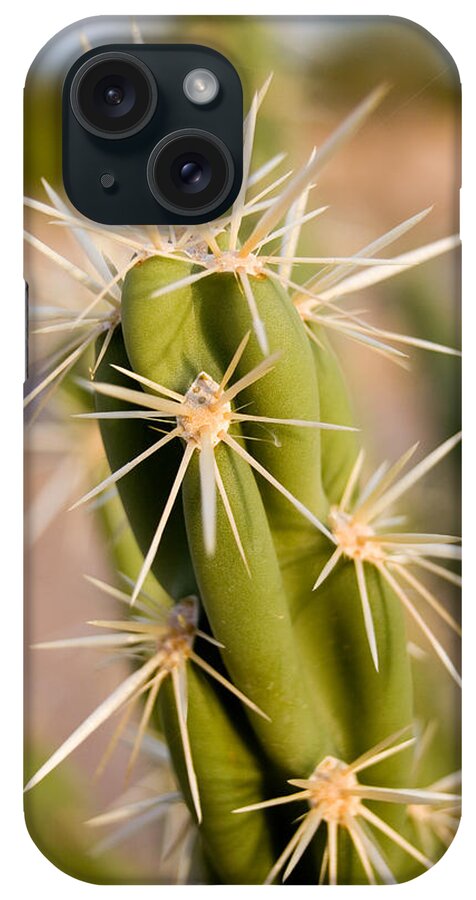 Spikes iPhone Case featuring the photograph Do Not Touch by Brad Brizek
