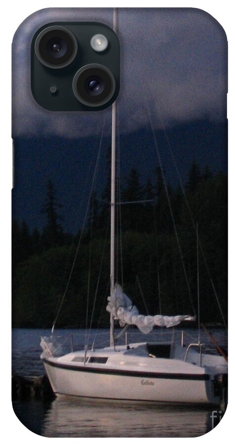 Night iPhone Case featuring the photograph Docked For The Night by Vivian Martin
