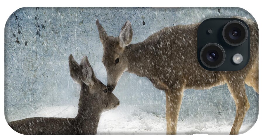 Animal iPhone Case featuring the photograph Doe a Deer by Juli Scalzi