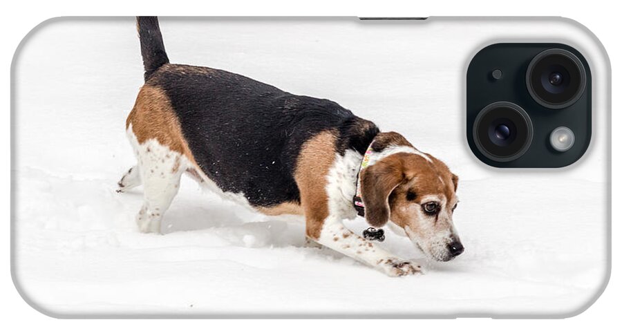 2015 iPhone Case featuring the photograph Dog in the Snow by Wade Brooks