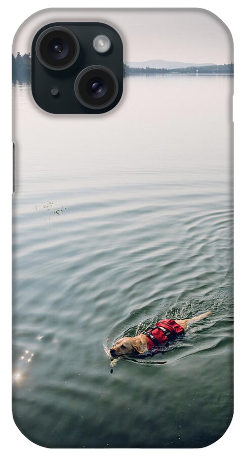 Life Jacket iPhone Case featuring the photograph Dog Swimming In A Lake While Wearing by Corey Hendrickson