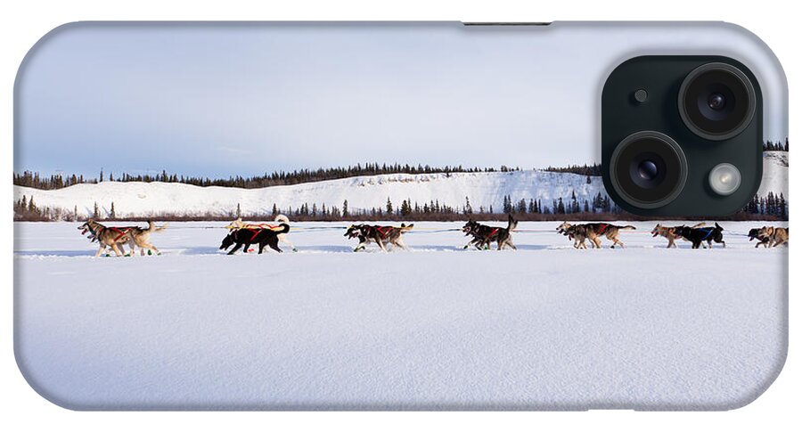 Siberian Husky sled dog pulling hard Jigsaw Puzzle by Stephan Pietzko -  Pixels