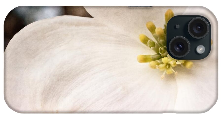Dogwood iPhone Case featuring the photograph Dogwood Bloom Closeup by Melissa Bittinger