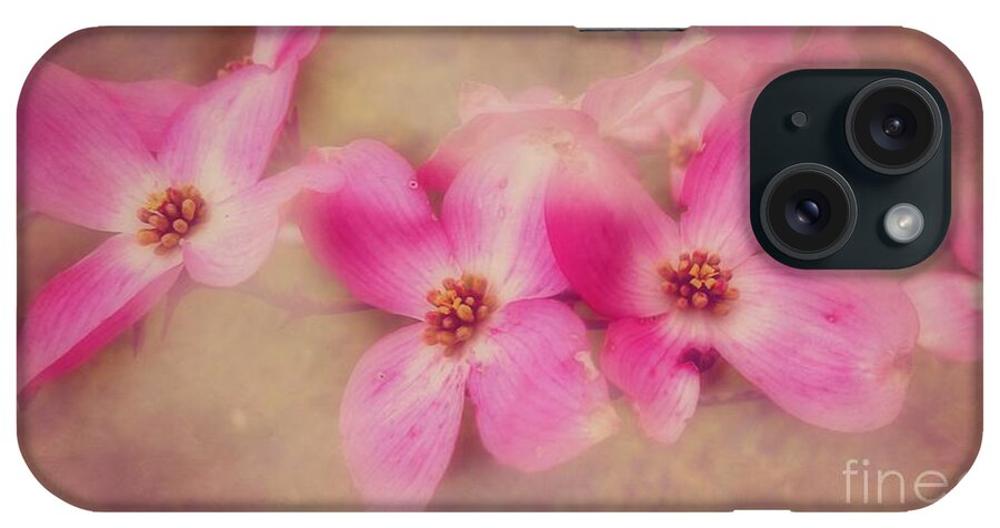 Dogwood Pink Bloom iPhone Case featuring the photograph Dogwood Blossom Beauty by Peggy Franz