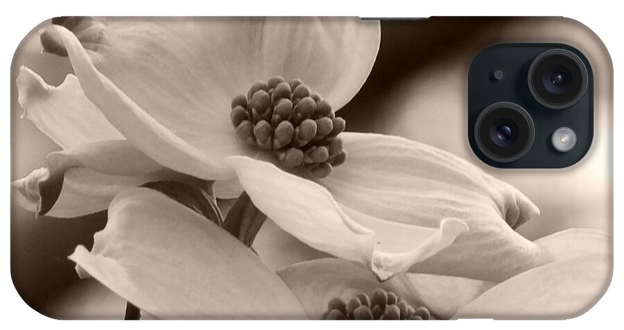 Flora iPhone Case featuring the digital art Dogwood Pair by Tg Devore