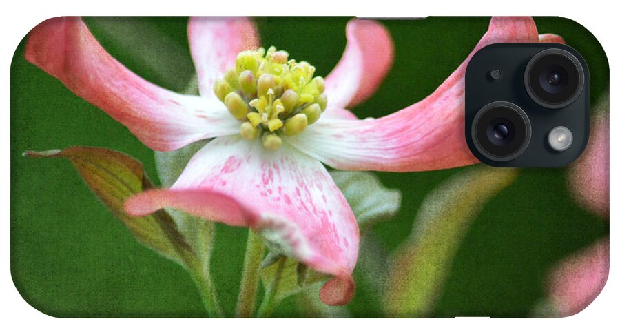 Floral iPhone Case featuring the photograph Dogwood Season Number Five by Lena Wilhite