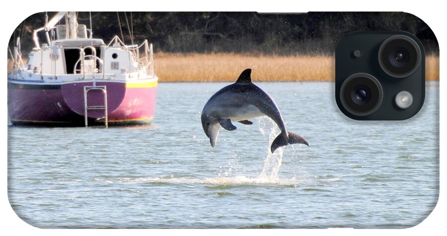 Dolphin iPhone Case featuring the photograph Dolphin Jumping in Taylors Creek by Dan Williams