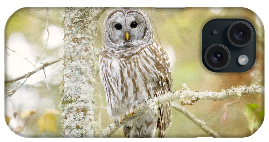 Owl iPhone Case featuring the photograph Don't Give A Hoot by Beve Brown-Clark Photography