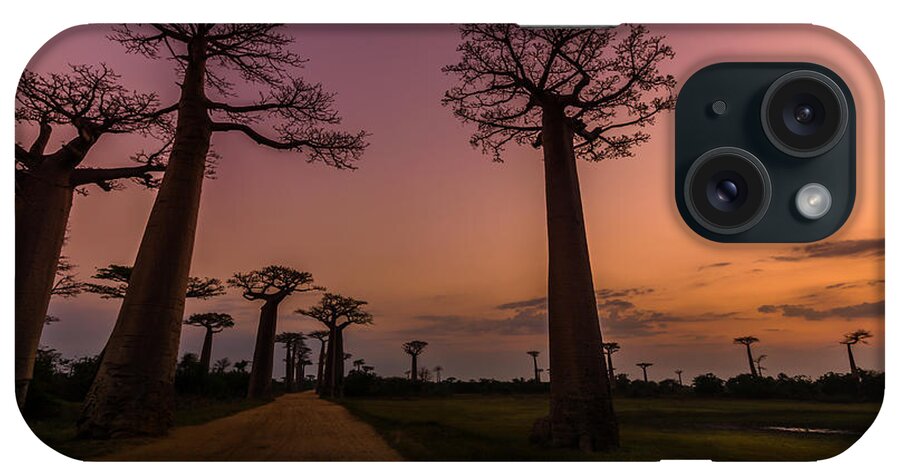 Baobab iPhone Case featuring the photograph Don't Wake Me by Linda Villers